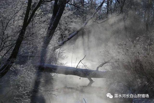 讲故事的人