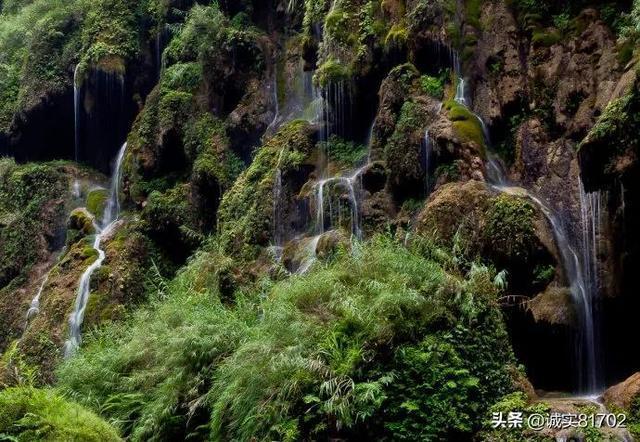 植物大战僵尸8